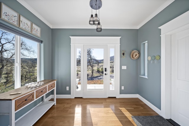 doorway to outside featuring a healthy amount of sunlight, ornamental molding, and hardwood / wood-style flooring