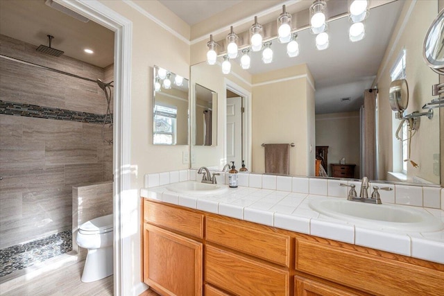 bathroom with toilet, walk in shower, and vanity