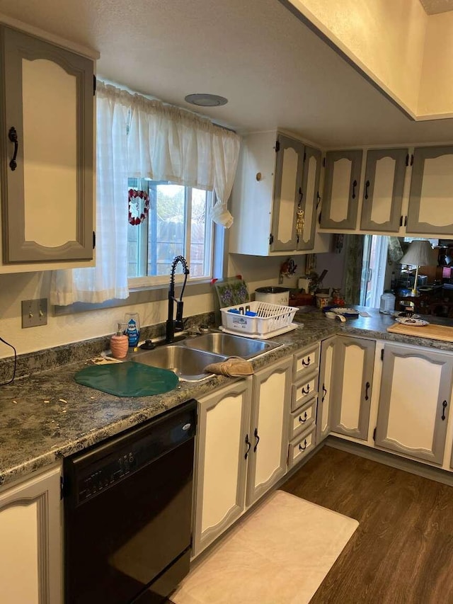 kitchen featuring dishwasher, dark wood-type flooring, and sink