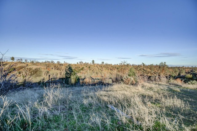 view of local wilderness featuring a rural view