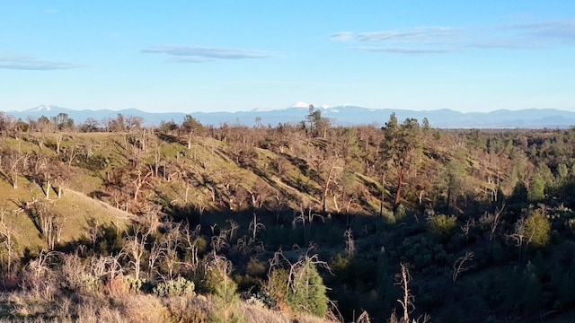 property view of mountains