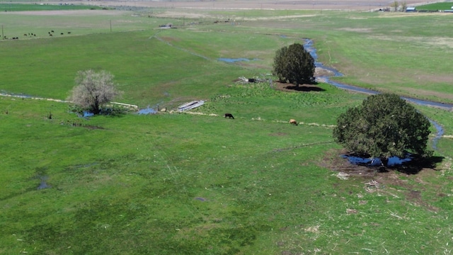 500 County Road 22, Surprise Valley, CA 96104 - photo 35