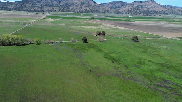 500 County Road 22, Surprise Valley, CA 96104 - photo 37