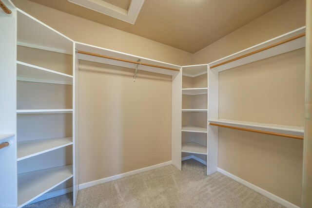 spacious closet with carpet floors