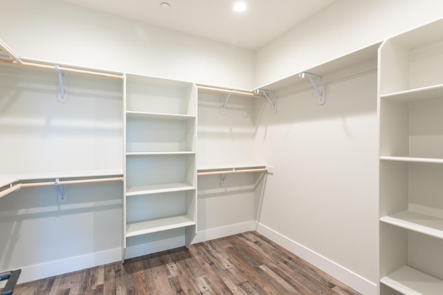 spacious closet featuring dark hardwood / wood-style floors