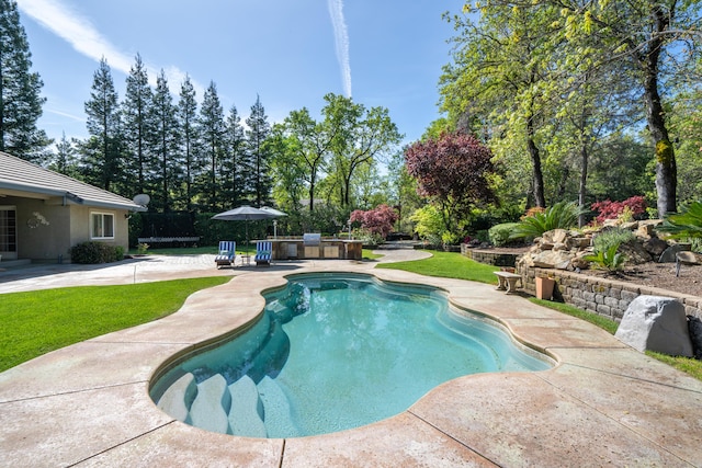 view of swimming pool with a lawn and a patio area