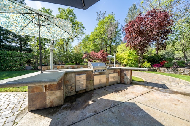 view of patio / terrace with a grill and an outdoor kitchen