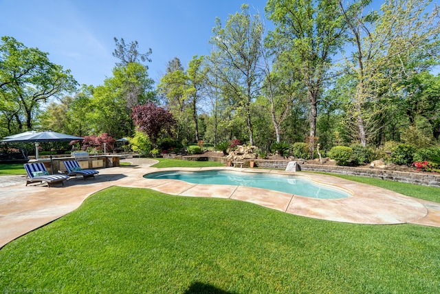 view of pool with a yard and a patio area