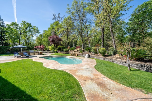 view of pool featuring a lawn and a patio area