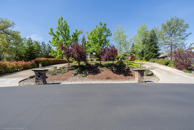 view of property hidden behind natural elements