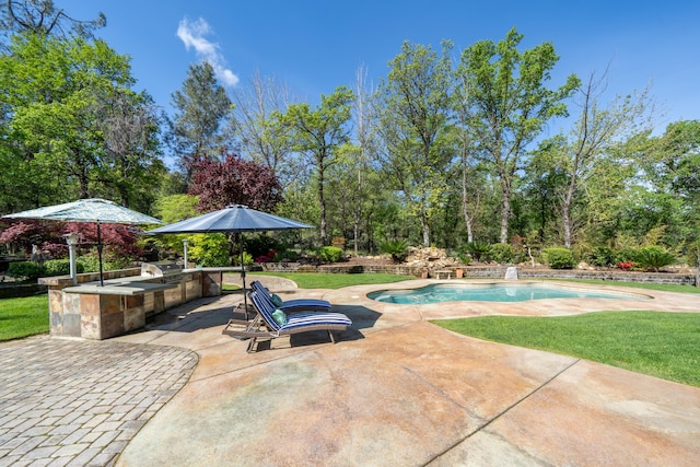 view of pool with area for grilling and a patio