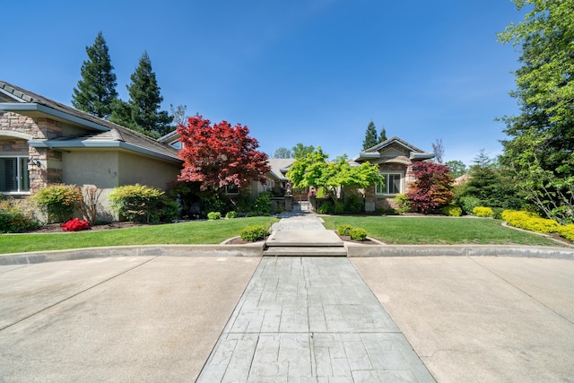 view of front of property featuring a front yard