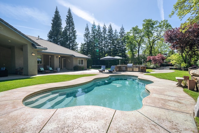 view of swimming pool with an outdoor kitchen and a patio