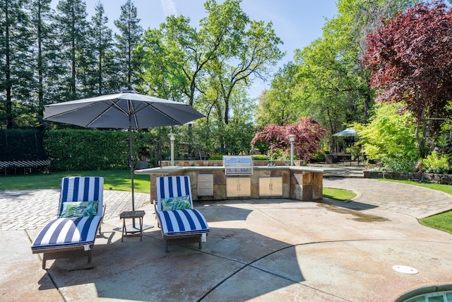 view of patio / terrace with area for grilling, a trampoline, and grilling area