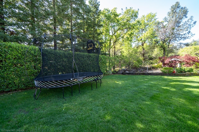 view of yard featuring a trampoline