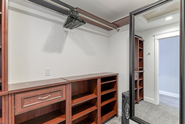 spacious closet with light colored carpet