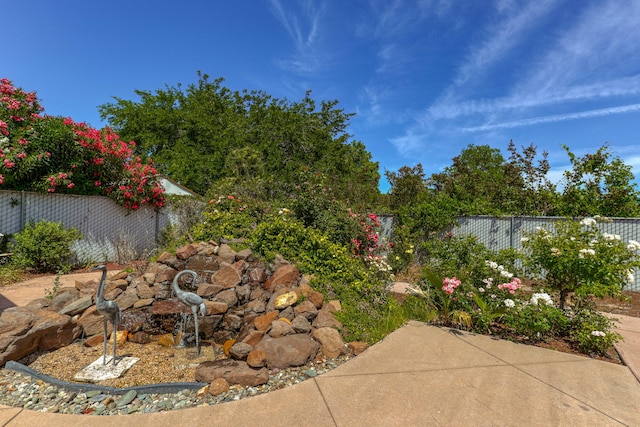 view of yard featuring a patio area