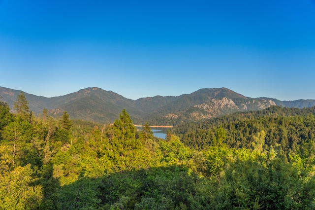 property view of mountains with a water view