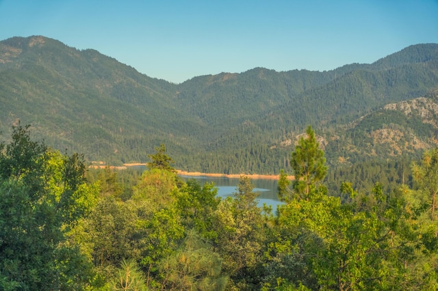 view of mountain feature with a water view