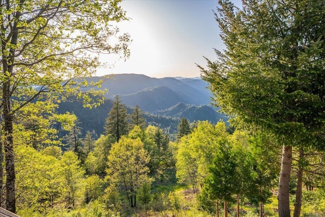 view of mountain feature