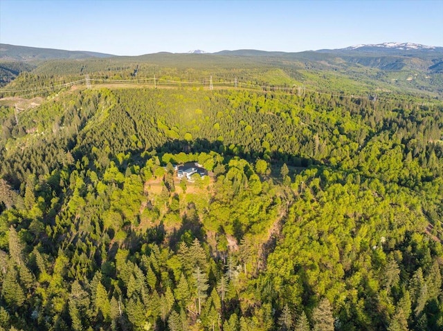 aerial view with a mountain view