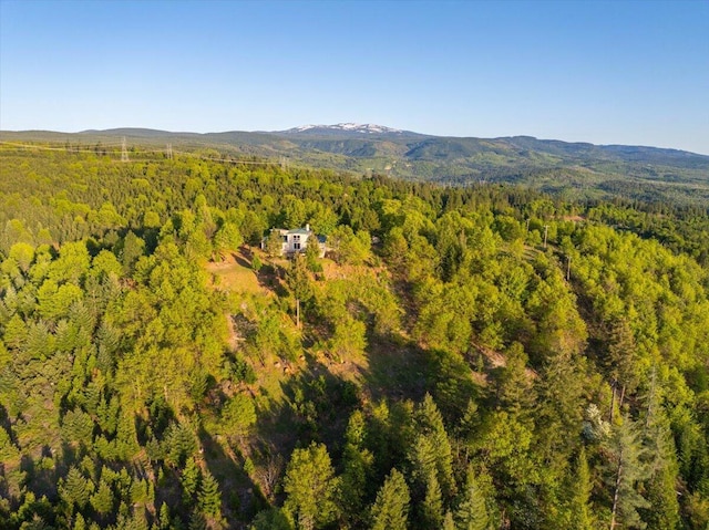 birds eye view of property featuring a mountain view