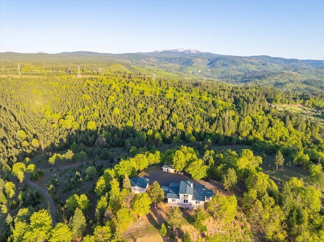 birds eye view of property with a mountain view