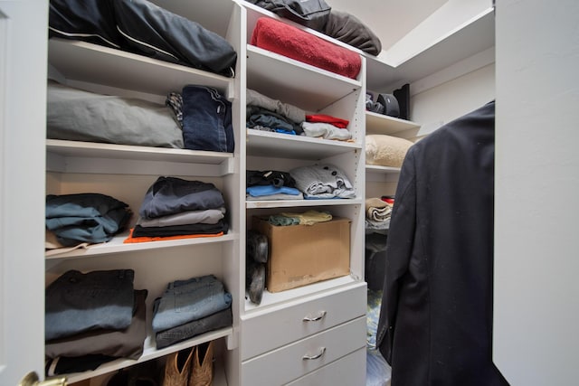 view of spacious closet