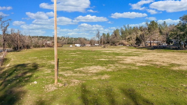 view of yard with a rural view