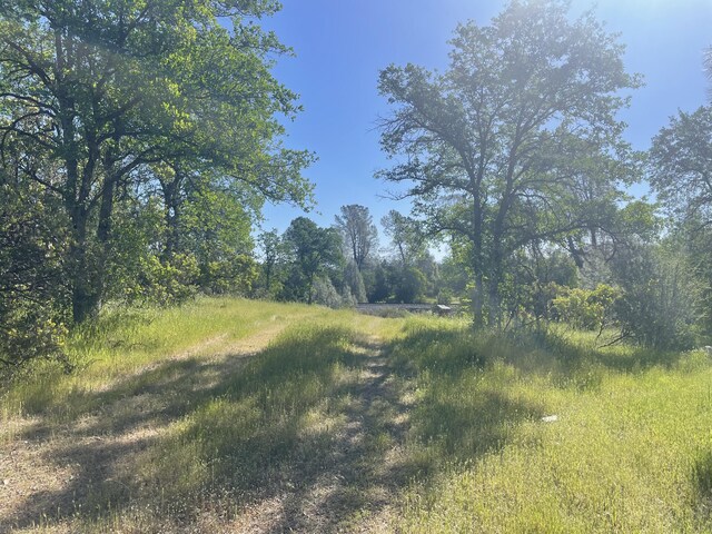 0000 Snavely Dr, Redding, CA 96003 - photo 13