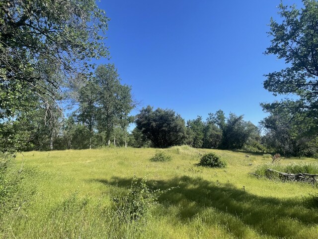 0000 Snavely Dr, Redding, CA 96003 - photo 9