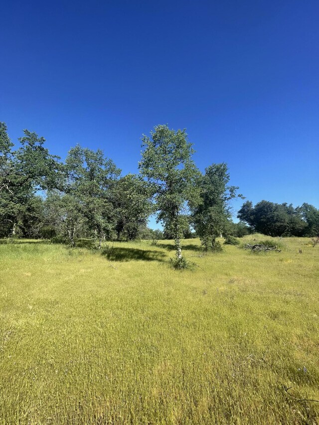 0000 Snavely Dr, Redding, CA 96003 - photo 15