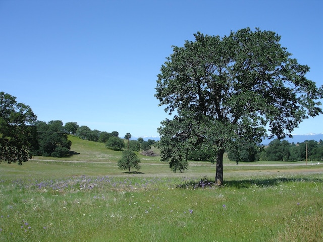 LOT13 Sunset Hills Dr, Cottonwood, CA 96022 - photo 4