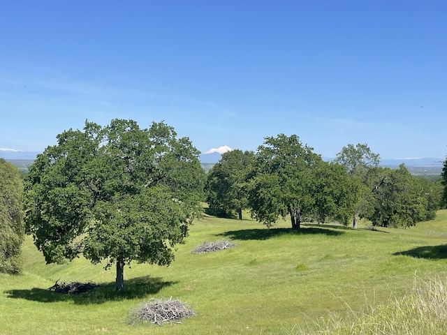 Listing photo 2 for LOT75 River Downs Way, Cottonwood CA 96022