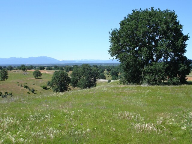 LOT54 Arlington Park Pl, Cottonwood, CA 96022 - photo 14