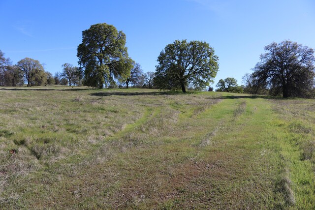 LOT54 Arlington Park Pl, Cottonwood, CA 96022 - photo 6
