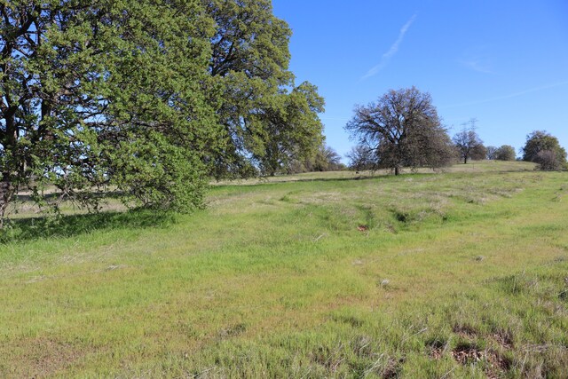 LOT54 Arlington Park Pl, Cottonwood, CA 96022 - photo 2