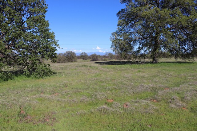 LOT54 Arlington Park Pl, Cottonwood, CA 96022 - photo 1