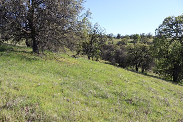 LOT54 Arlington Park Pl, Cottonwood, CA 96022 - photo 13