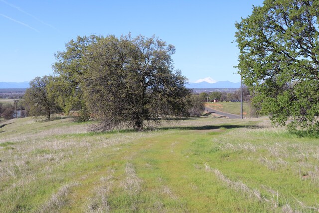 LOT54 Arlington Park Pl, Cottonwood, CA 96022 - photo 4