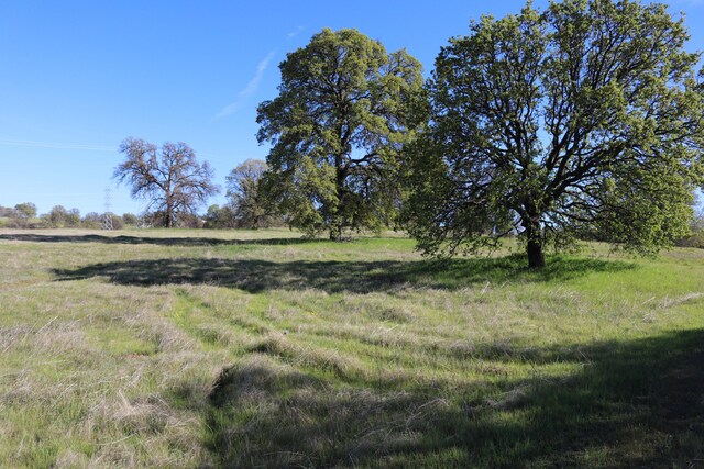 LOT54 Arlington Park Pl, Cottonwood, CA 96022 - photo 9