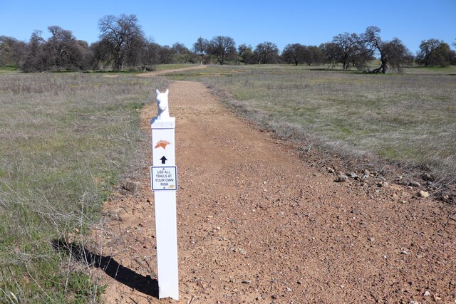 LOT41 Del Mar Ave, Cottonwood, CA 96022 - photo 17