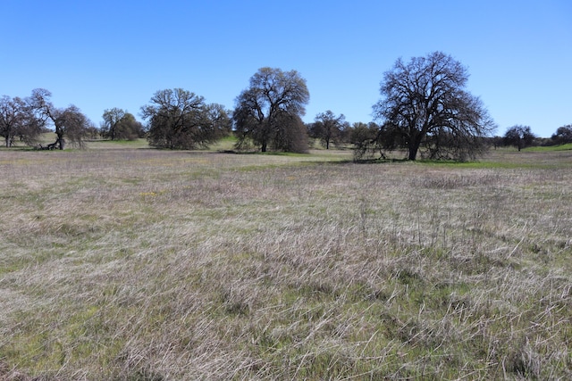 LOT41 Del Mar Ave, Cottonwood, CA 96022 - photo 9