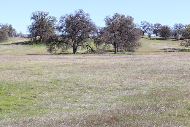 LOT41 Del Mar Ave, Cottonwood, CA 96022 - photo 8