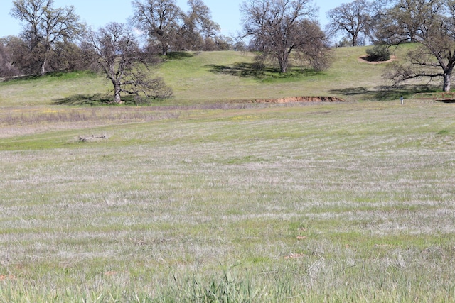 LOT41 Del Mar Ave, Cottonwood, CA 96022 - photo 6