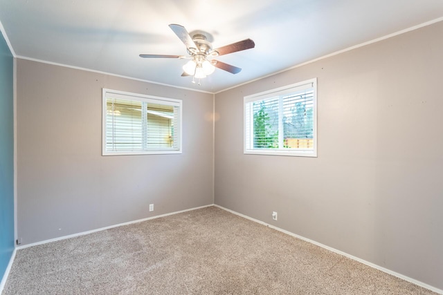 carpeted spare room with ceiling fan and crown molding