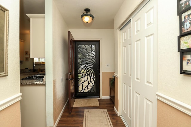 doorway featuring dark wood-type flooring