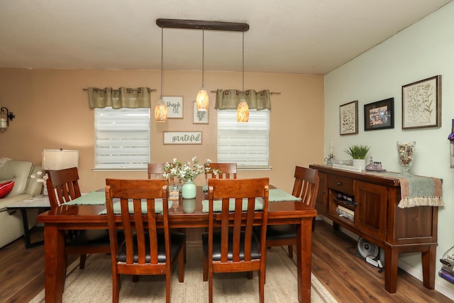 dining room featuring dark hardwood / wood-style flooring