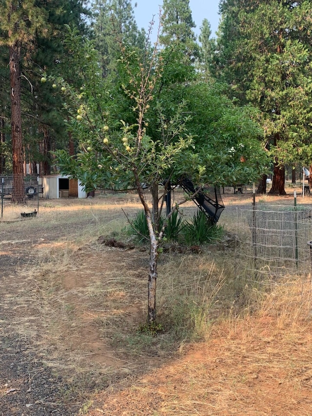 view of yard with an outbuilding