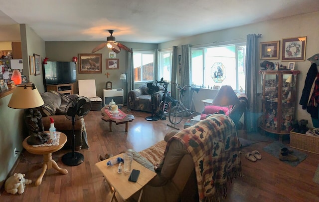 living room with ceiling fan and wood-type flooring